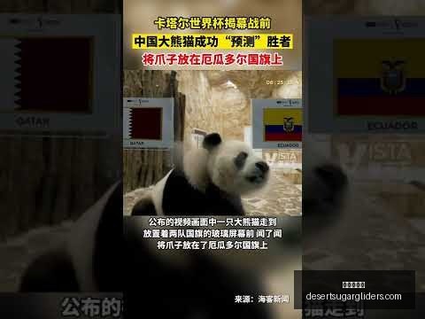 九游会中心,九游会中心官网,九游会中心App,九游会中心官网,九游会中心App,九游会中心真人,九游会中心下载,九游会中心娱乐平台
