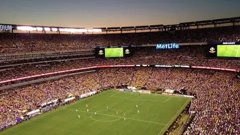 泰山队加速备战亚冠精英赛 高强度训练力争佳绩